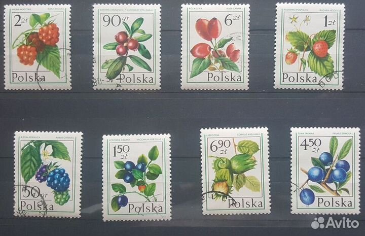 Почтовые марки флора 2