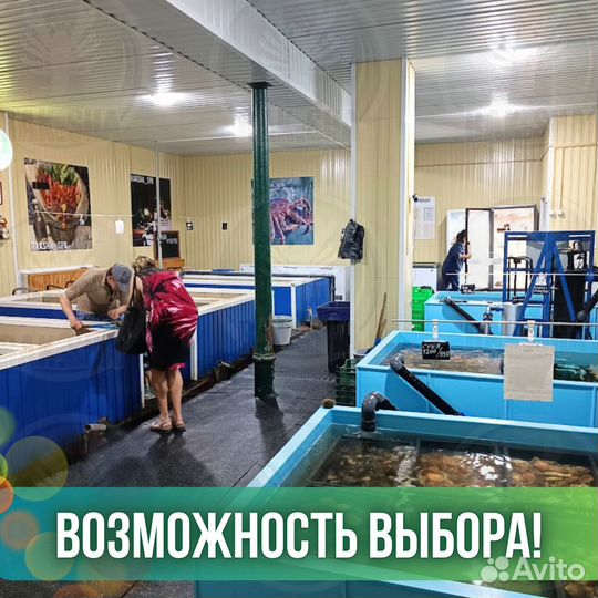 Печень трески в стекле