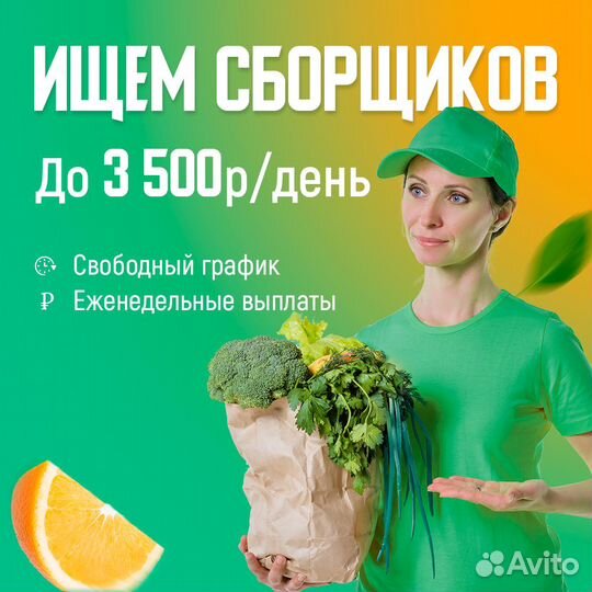 Сборщик заказов в магазин магнит