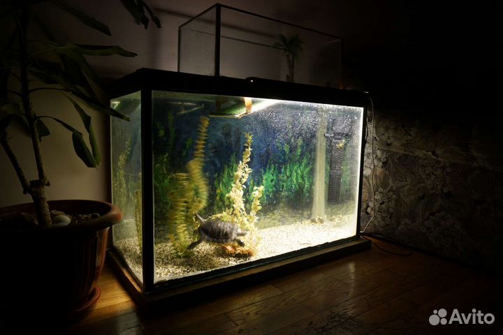 Аквариум