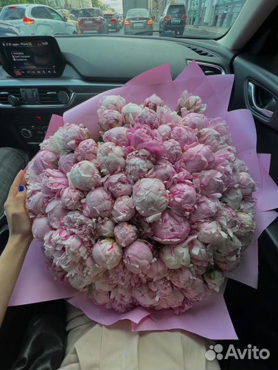 Цветы Букеты Пионы 101 Роза