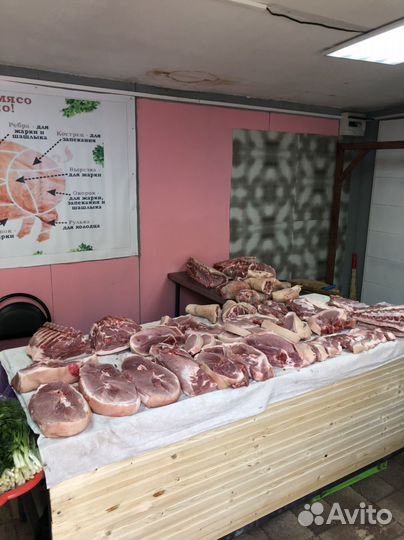 Продам мясо свинина свежее