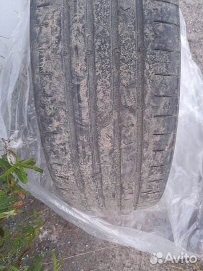 Continental ContiPremiumContact 5 205/55 R16