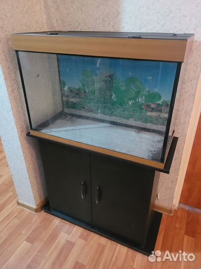 Аквариум 200 литров с тумбой и аксессуарами