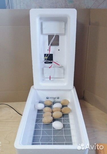 Инкубатор новый в наличии