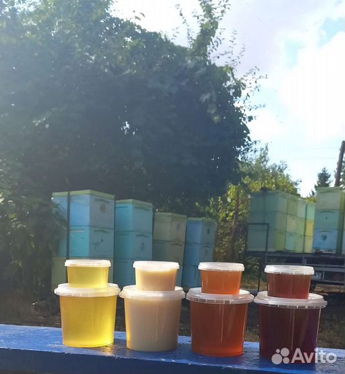 Мед с личной пасеки 2023 года