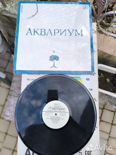 Виниловые пластинки