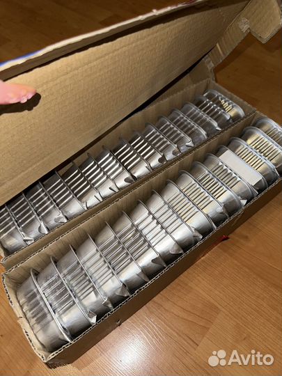 Корм для собак monge влажный