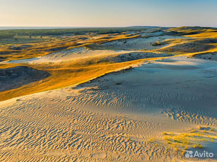 Экскурсия — Калининград — Куршская коса: древние л