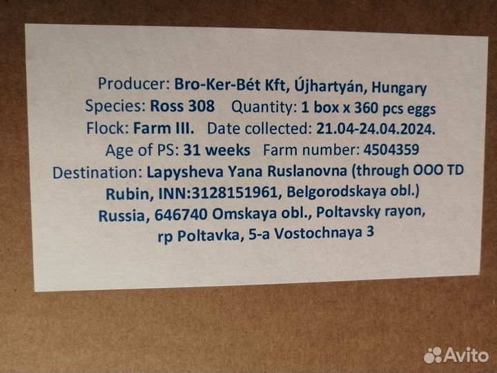 Инкубационное яйцо опт и розница