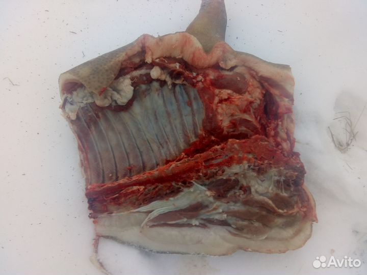 Мясо свинины домашнее