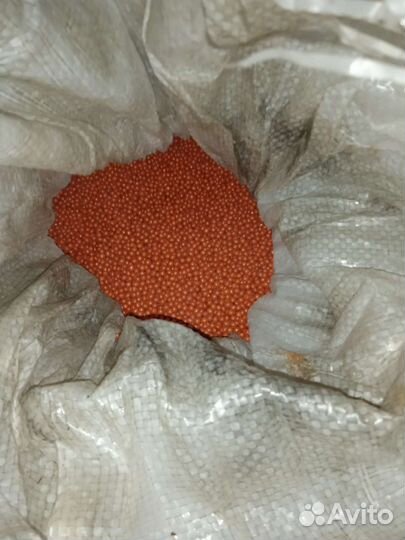 Семена Свёкла сахарн Florimond desprezгибрид Урази