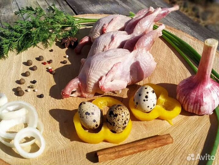 Перепелиное мясо и яйцо