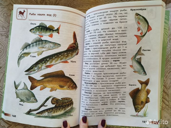 Атлас-определитель От земли до неба. Плешаков