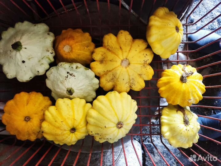 Укроп, свекла, кабачки, мята, лук