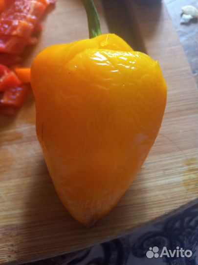 Перец Леся оранжевый
