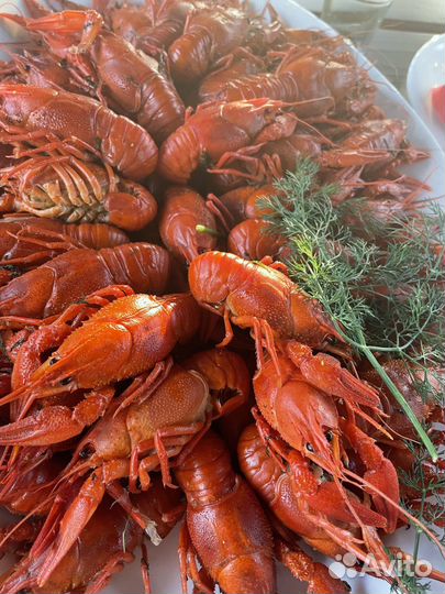 Акватермъ отдых всей семьёй