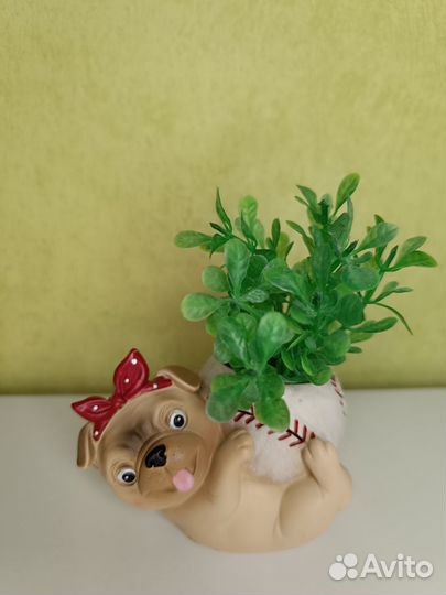 Горшок для суккулентов и кактусов Мопс