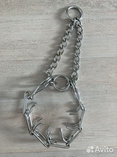 Строгий ошейник для собак