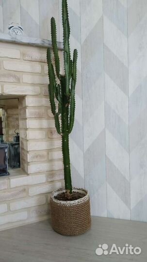 Корзина, кашпо из джута