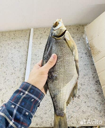 Лещ Астраханский