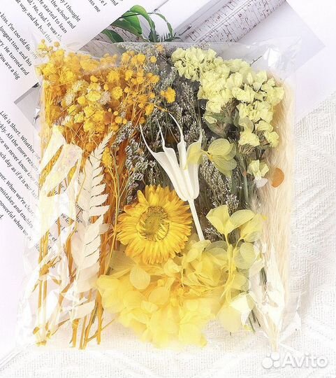 Сухоцветы набор