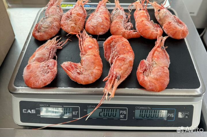 Креветка королевская Ботан Вчера ещё гулял по дну