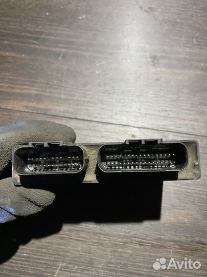 Эбу, мозги для suzuki gsf650 bandit 07-08