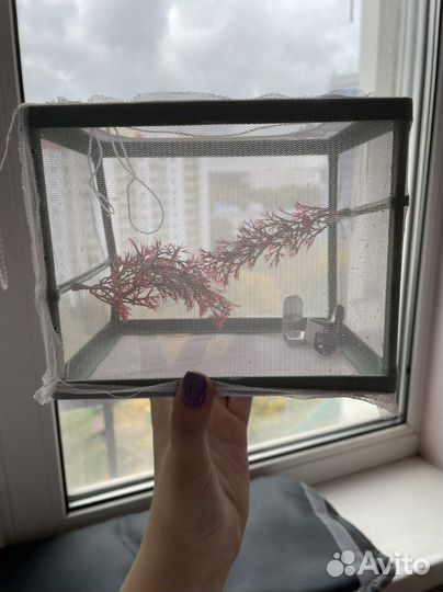 Все для аквариума