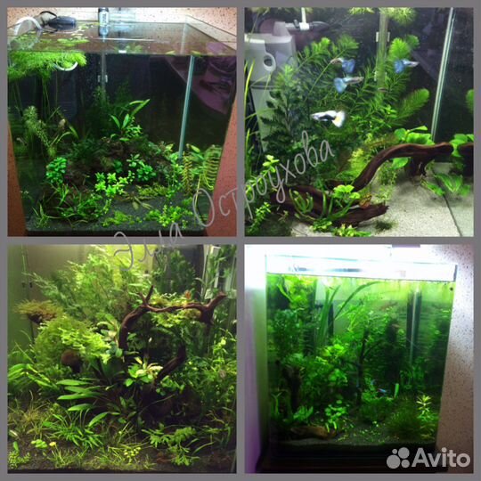 Нано-аквариум, Dennerle, 20L, Германия