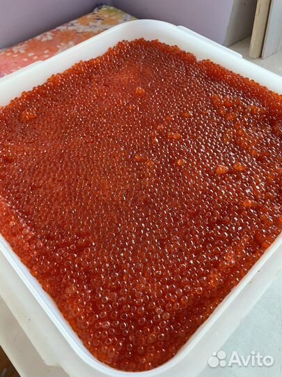 Икра красная Кета 2023