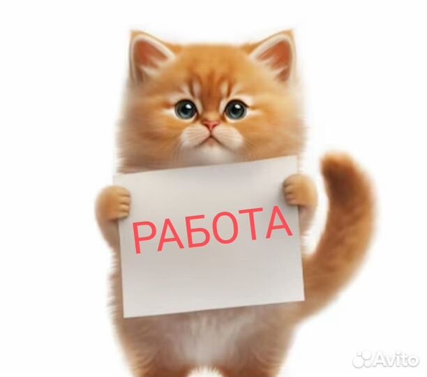 Сборщик заказов вахта