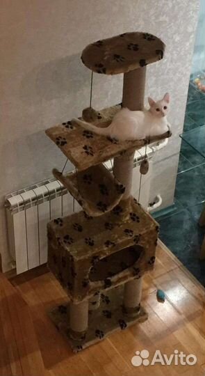 Домик для кошки с когтеточками. Новая