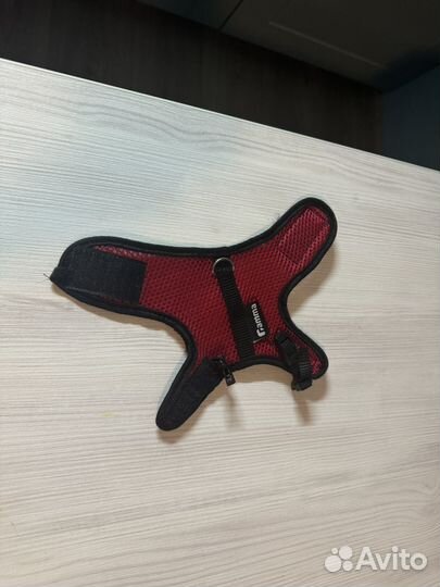 Шлейка для крыс