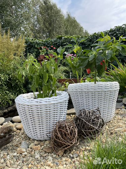 Корзина плетеная