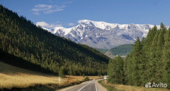 Туры на алтай