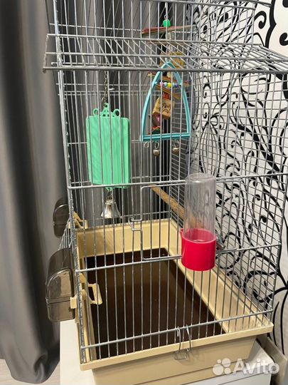 Клетка для попугая
