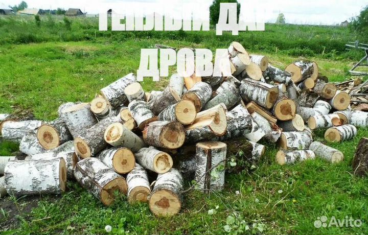 Дрова колотые сухие