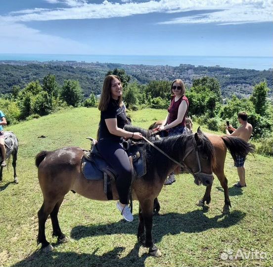Конные прогулки