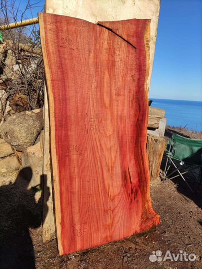 Слэб (спил) секвойя