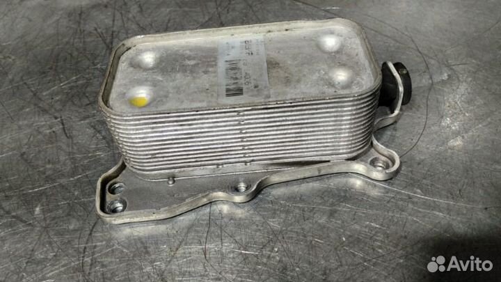 Радиатор масляный Mercedes Clk A209 M273 5.5I 2006