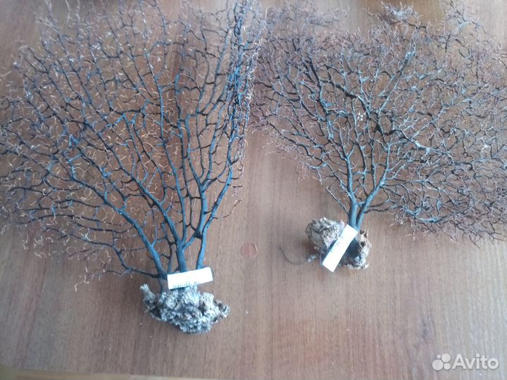 Аквариумные аксессуары Новые Фирменные