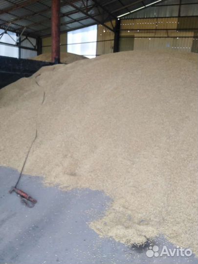 Корма для животных