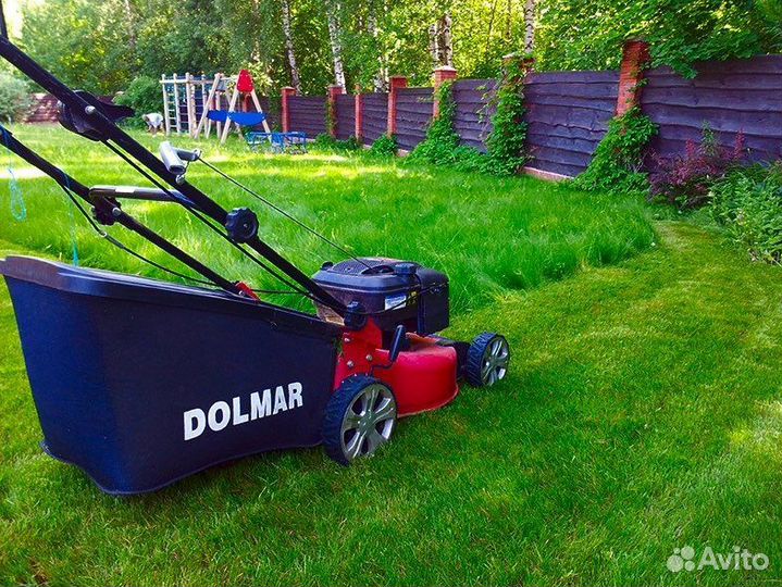 Посев газона / автополив