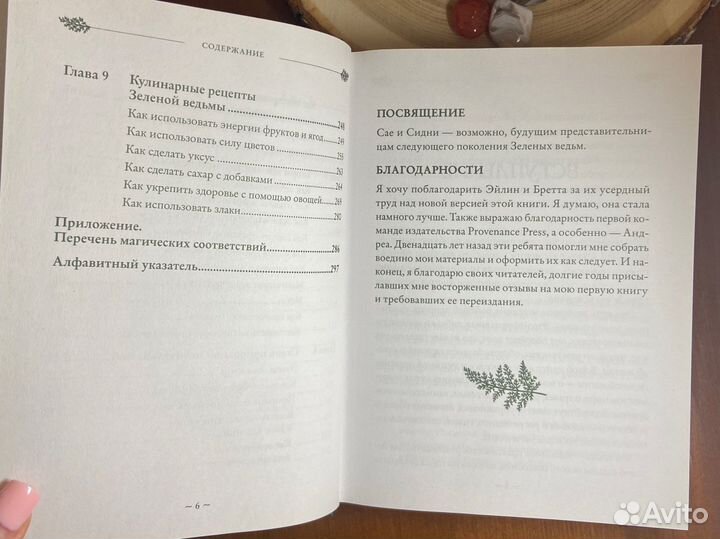 Викка - книга Эрин Мерфи-Хискок