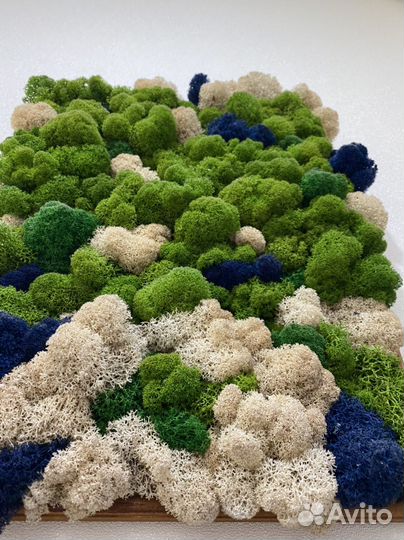 Картина из мха