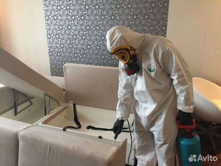 Дезинфекция