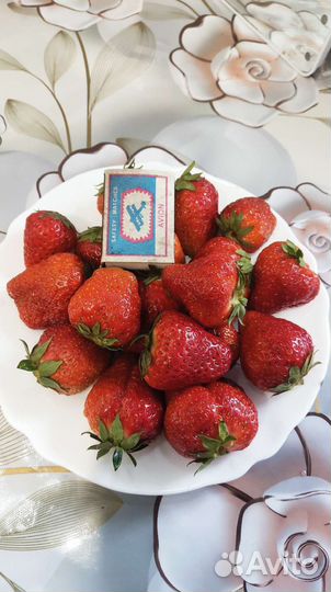 Рассада клубники усы