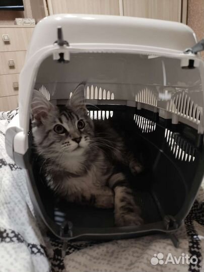 Переноска для животных