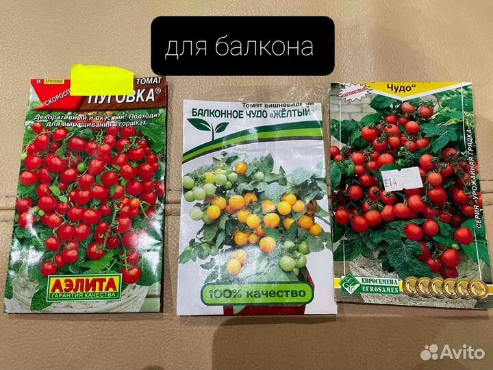 Рассада томатов для теплиц